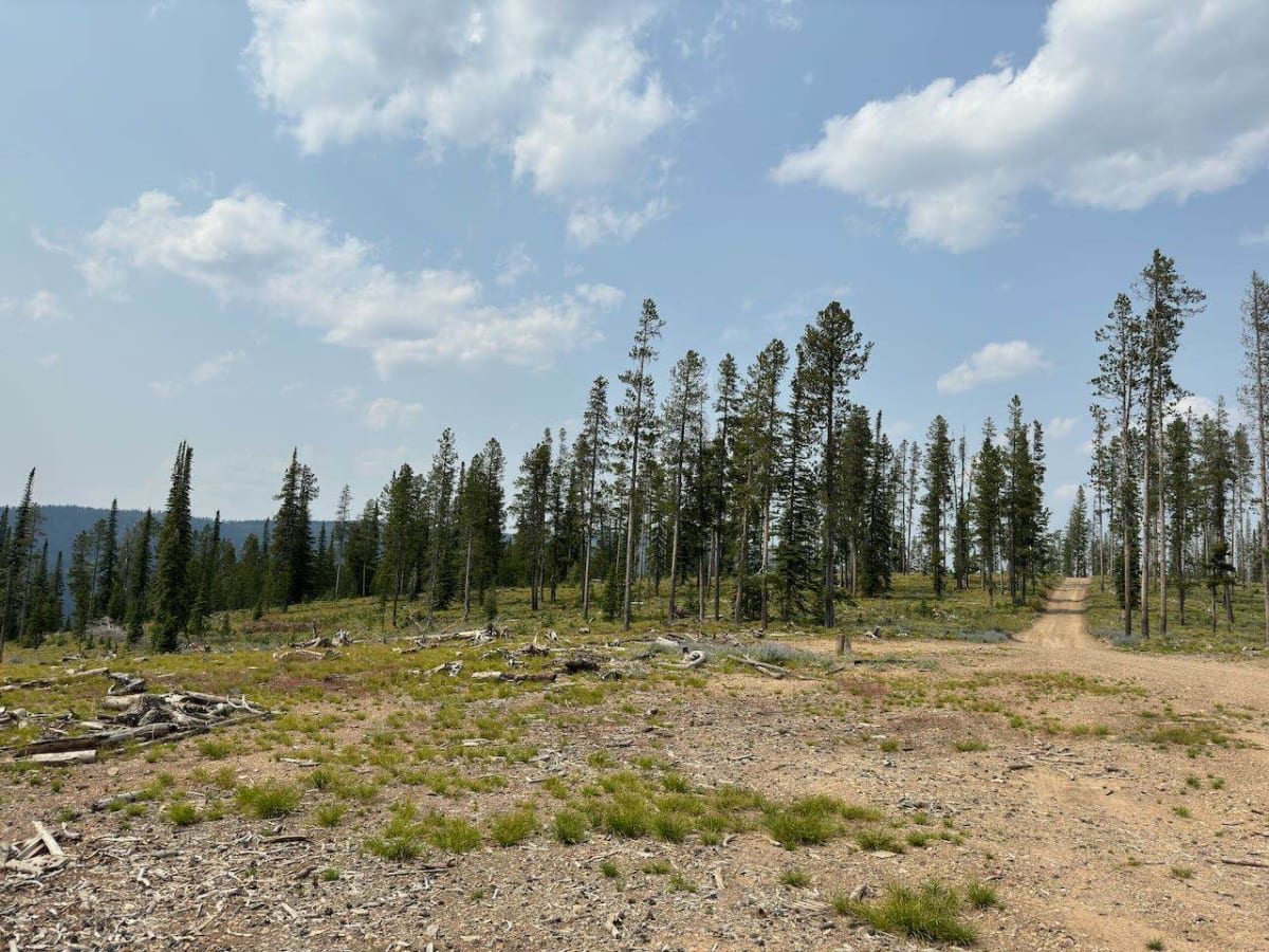 Anderson Mountain Trail photo 3