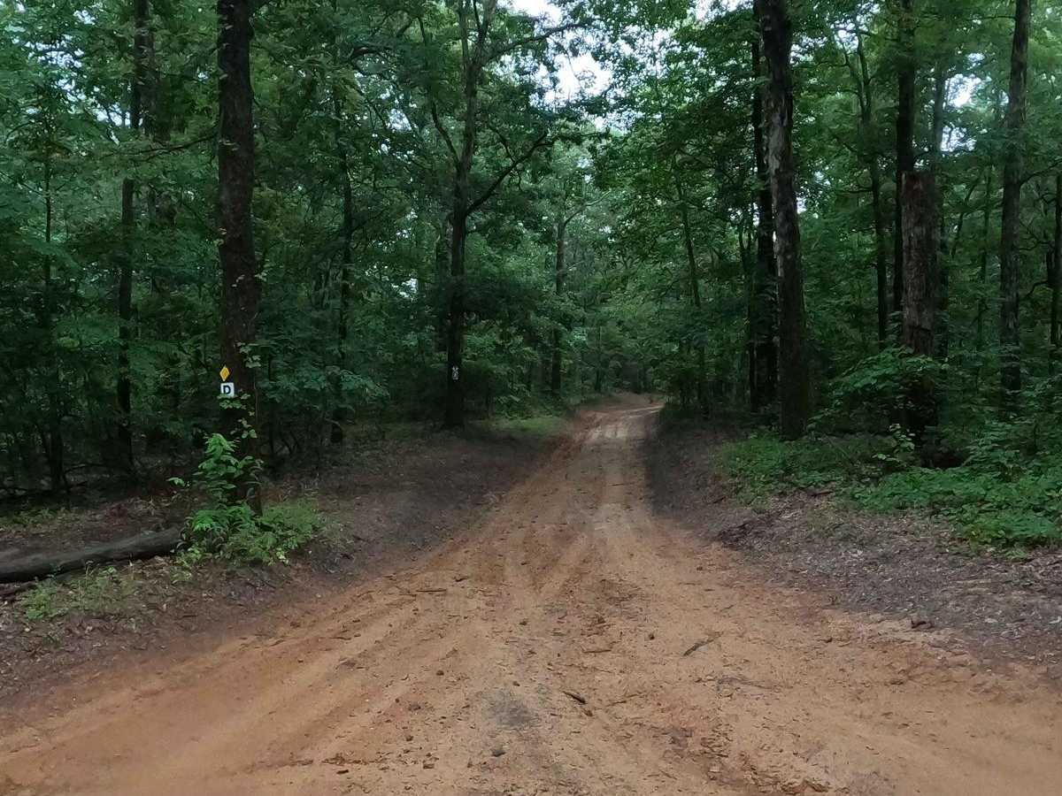 D to 5 Road trail photo