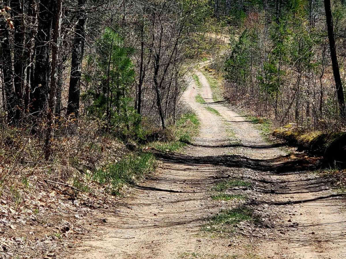 Afton Area/Fisherman Trail Connector photo 2