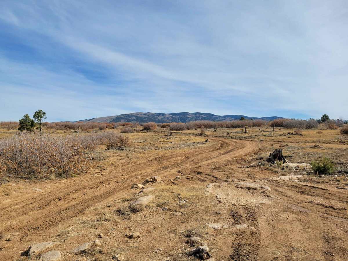 Pecos WIlderness Border Road photo 4