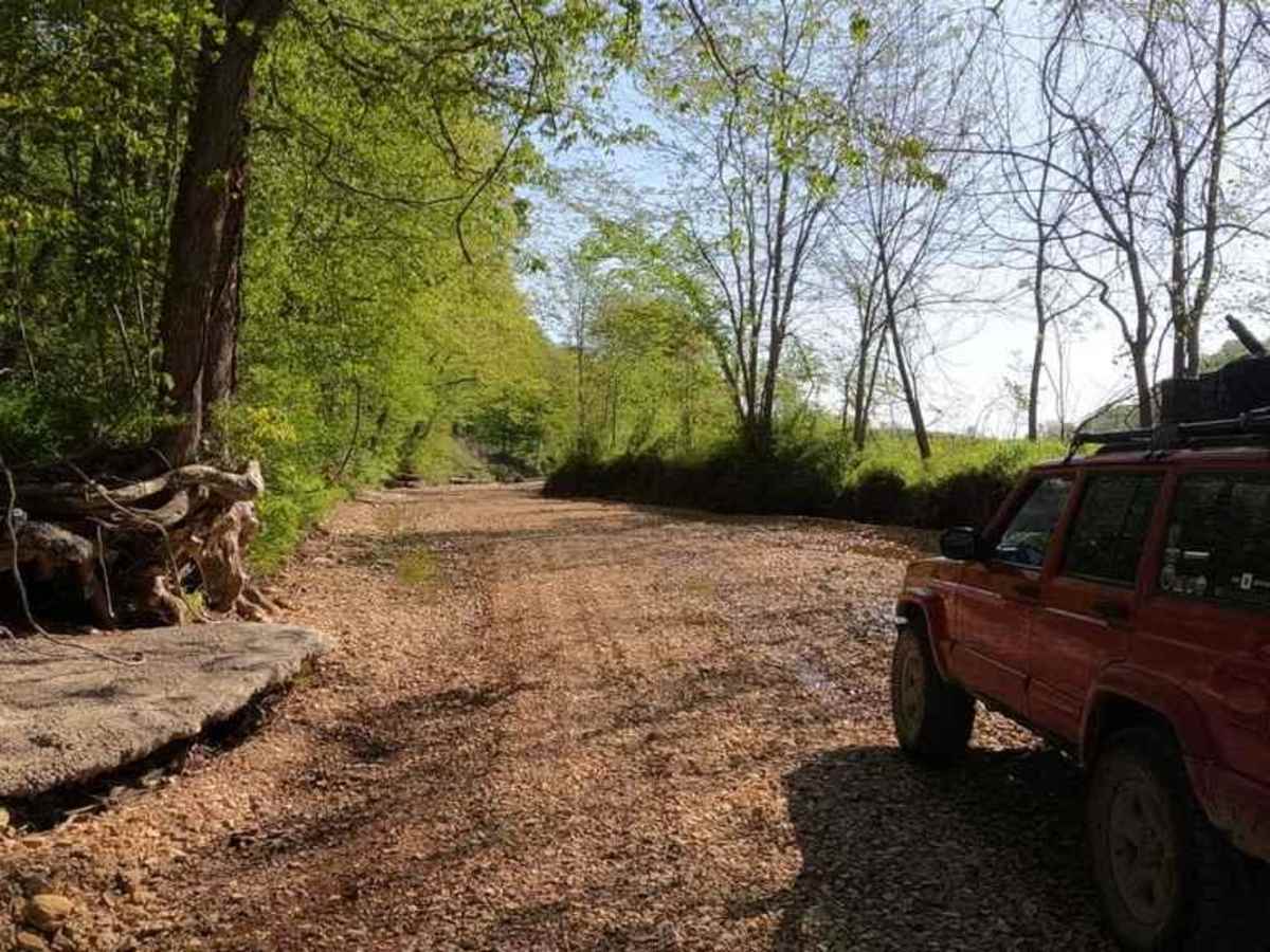 Lovejoy Creek Road trail photo