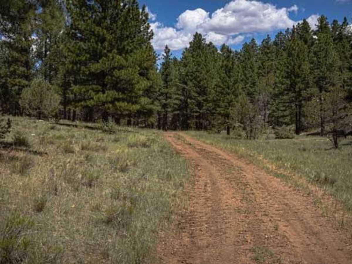 Pine Creek photo 4