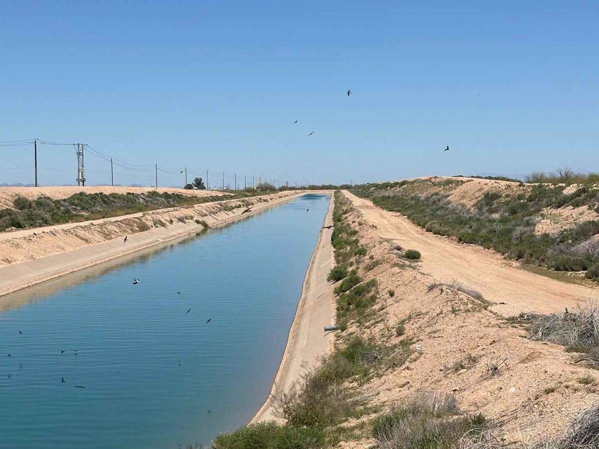 Eloy Canal Trail photo 4