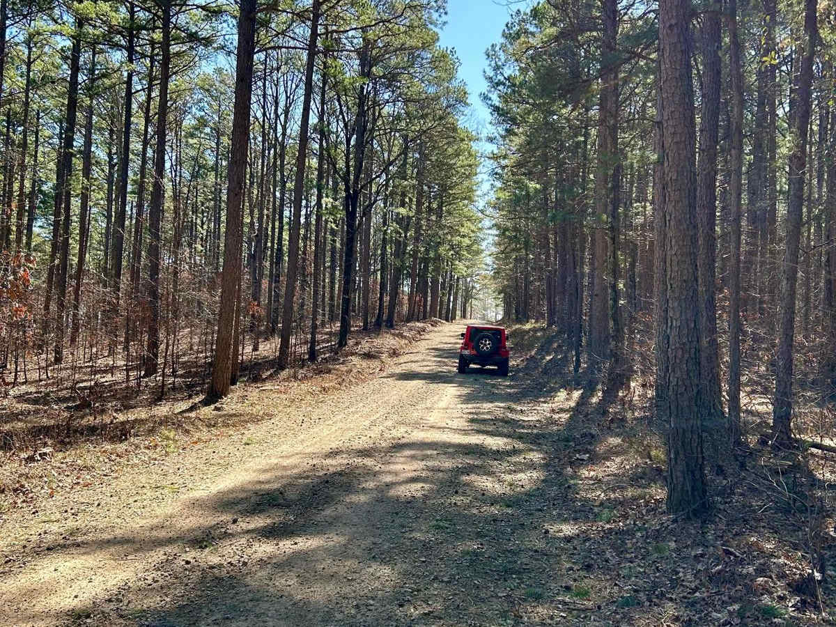 Woods Mountain Road photo 4