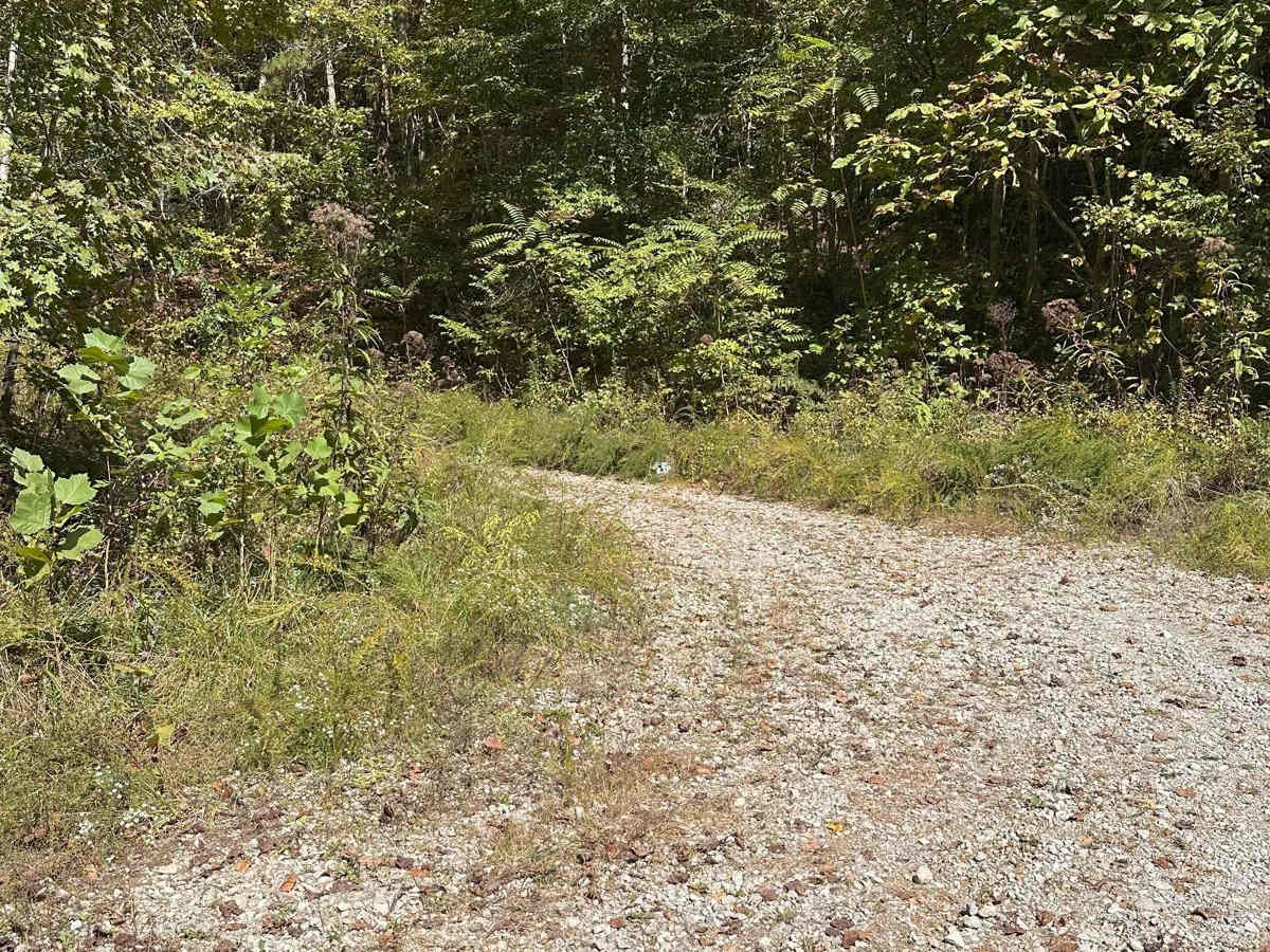 126 trail photo