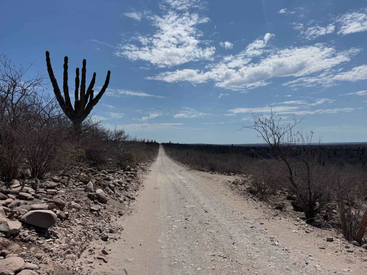 East-North Connection trail photo