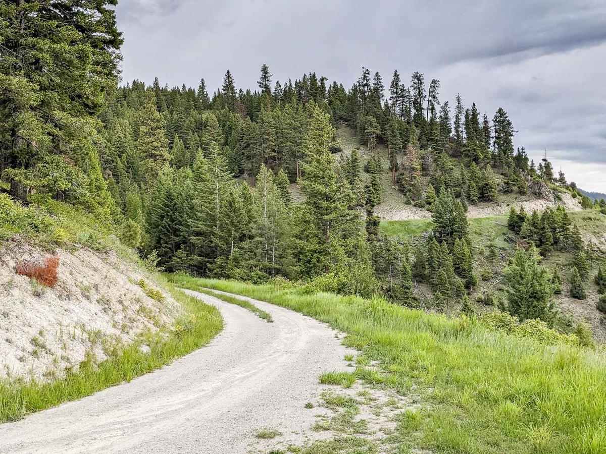 Bear Creek FS 504 and 4239 photo 4
