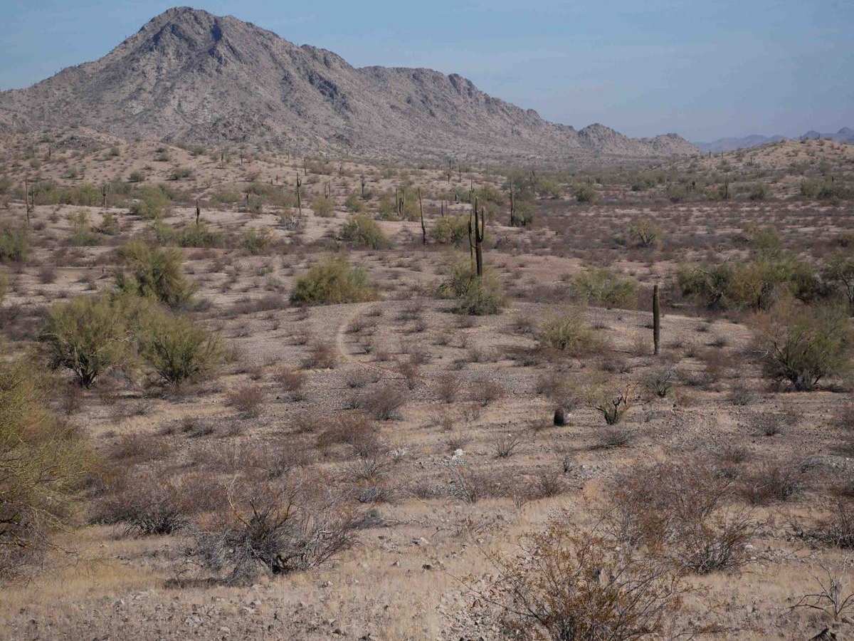BH1074 trail photo