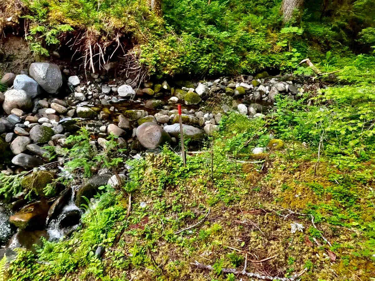 Ridge - 6260 photo 4