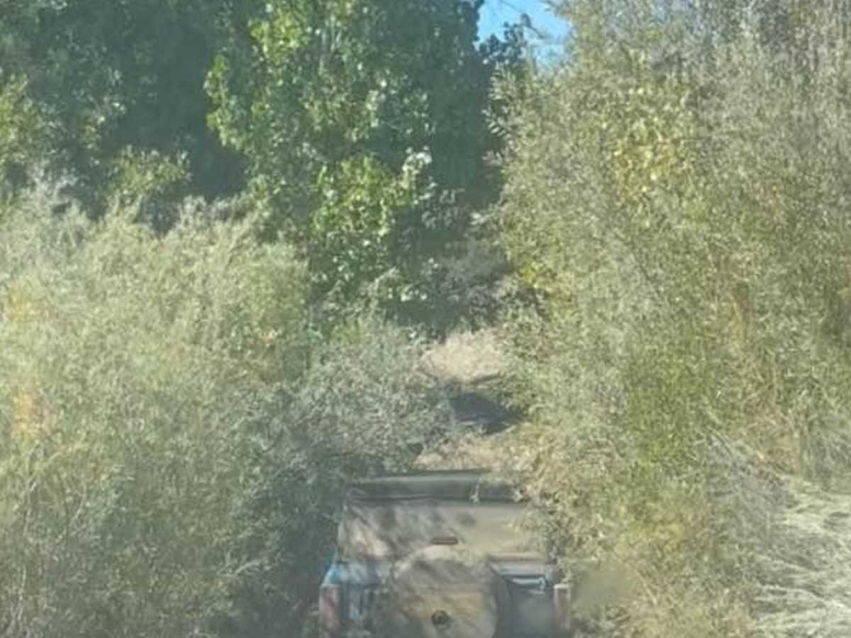 Miller Jeep Trail - 20W06 photo 2