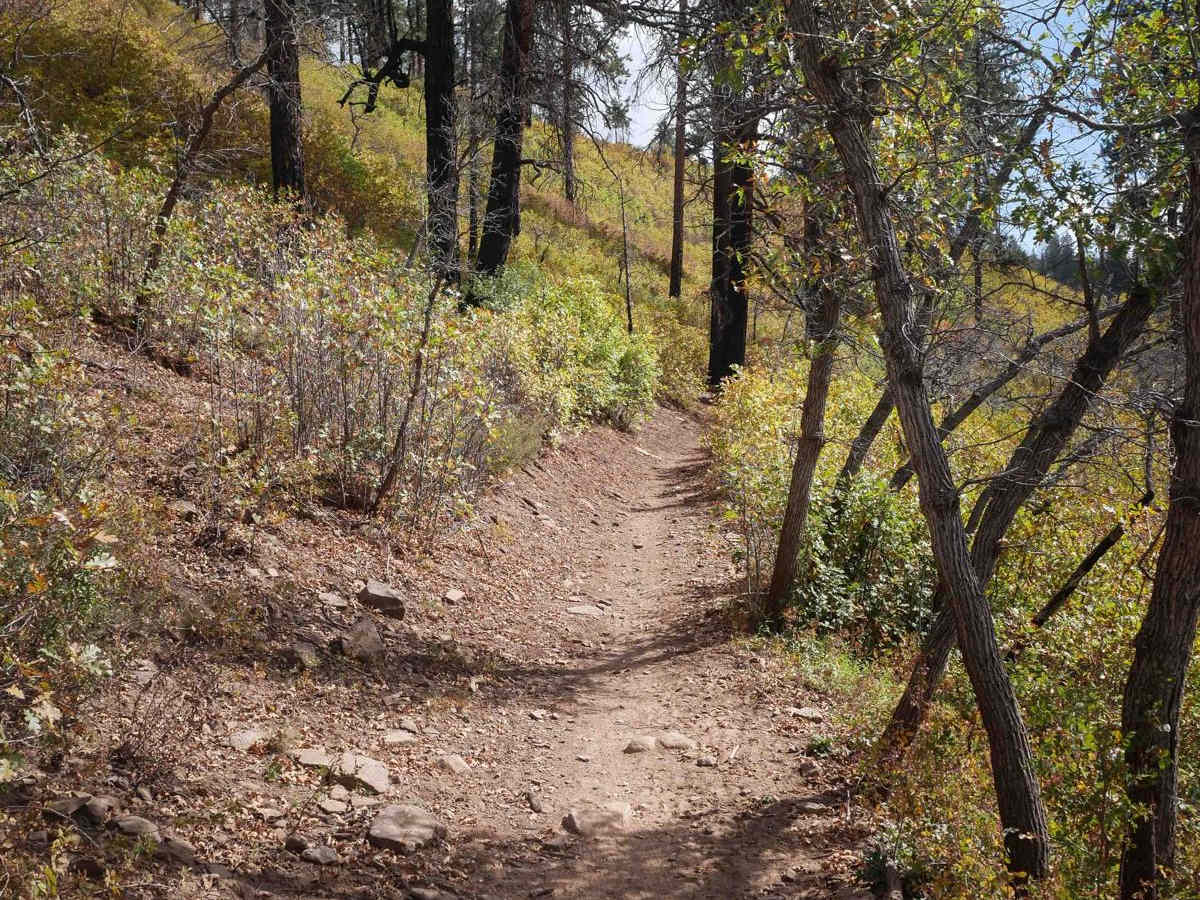 Hermosa Creek ATV photo 6