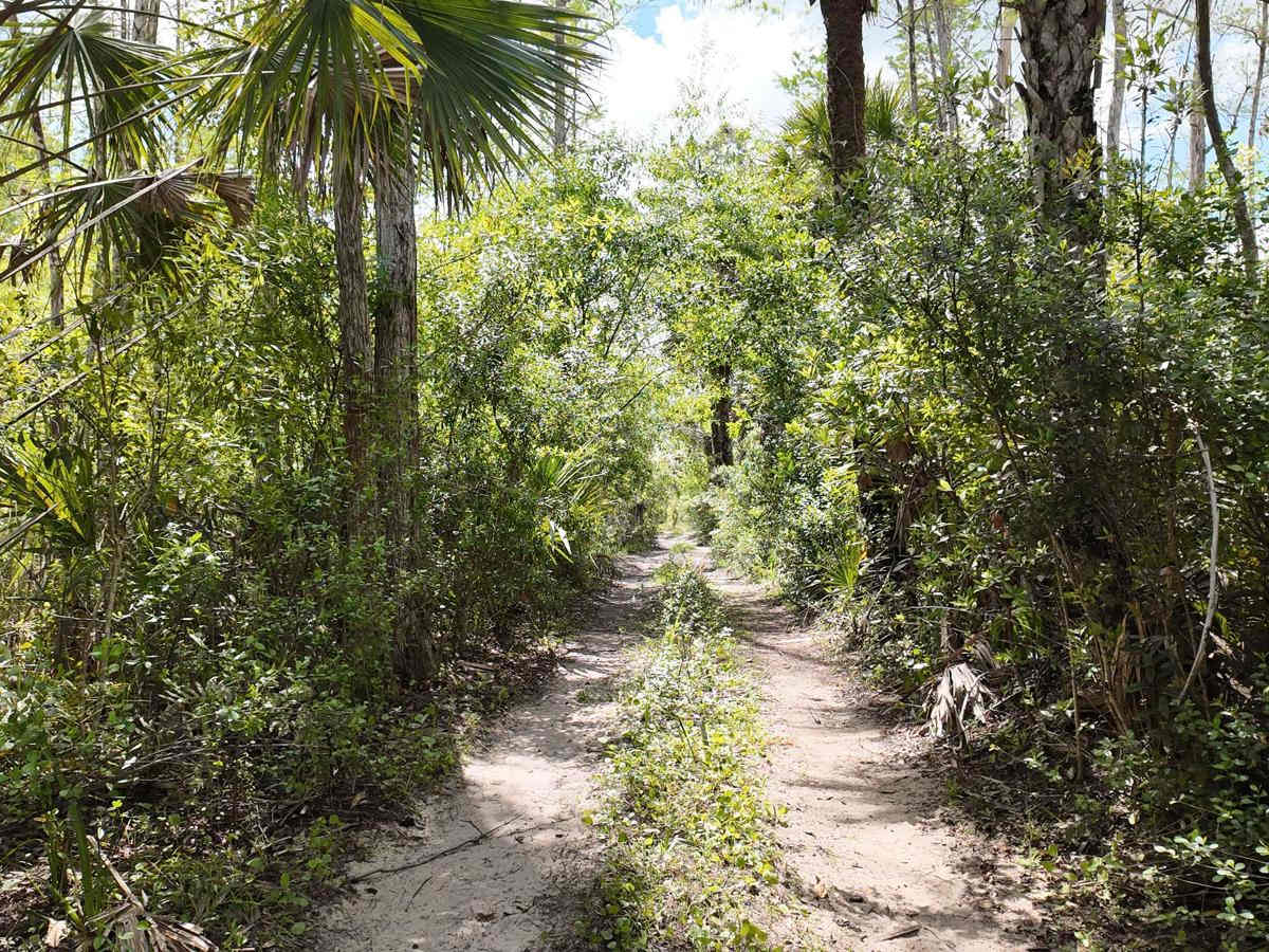Blu 4 Trail trail photo