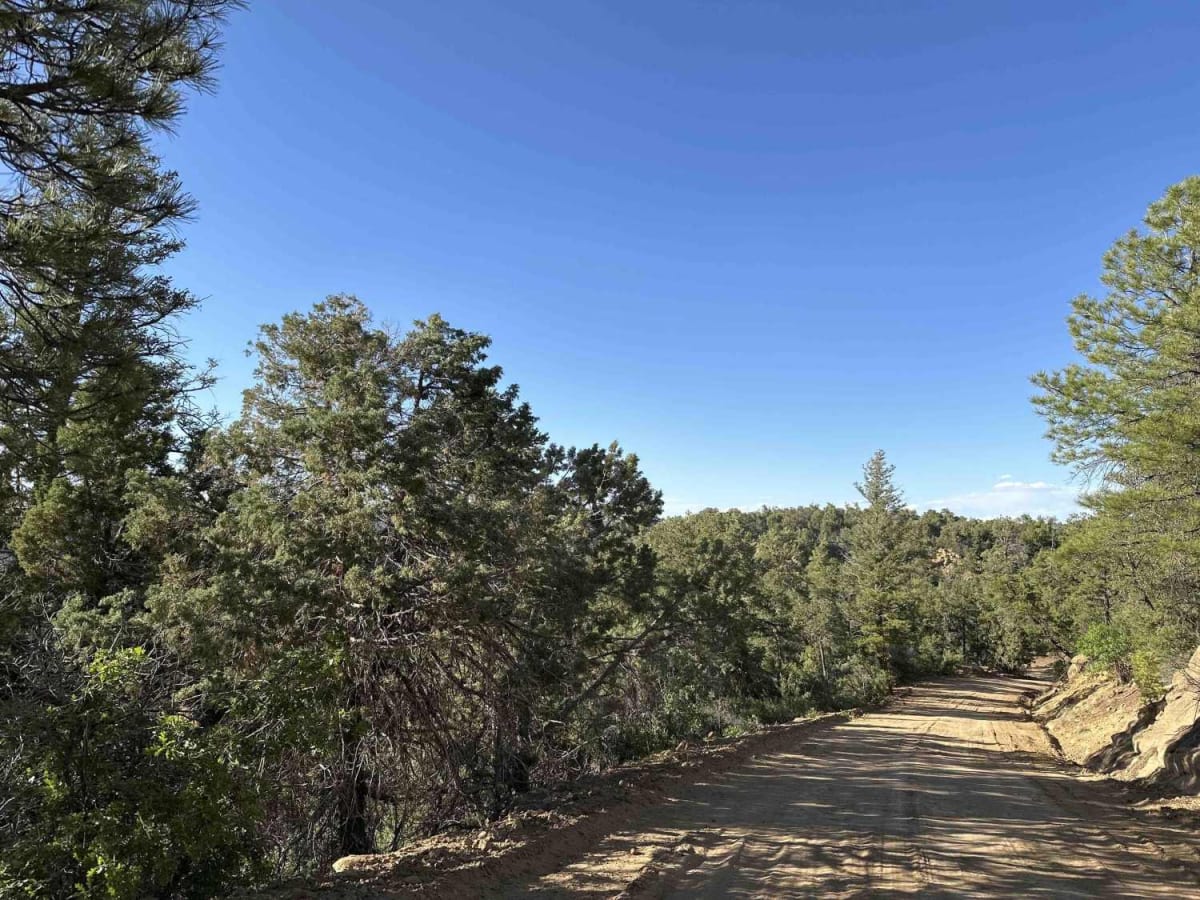 Munoz Creek/NFS 357 photo 4