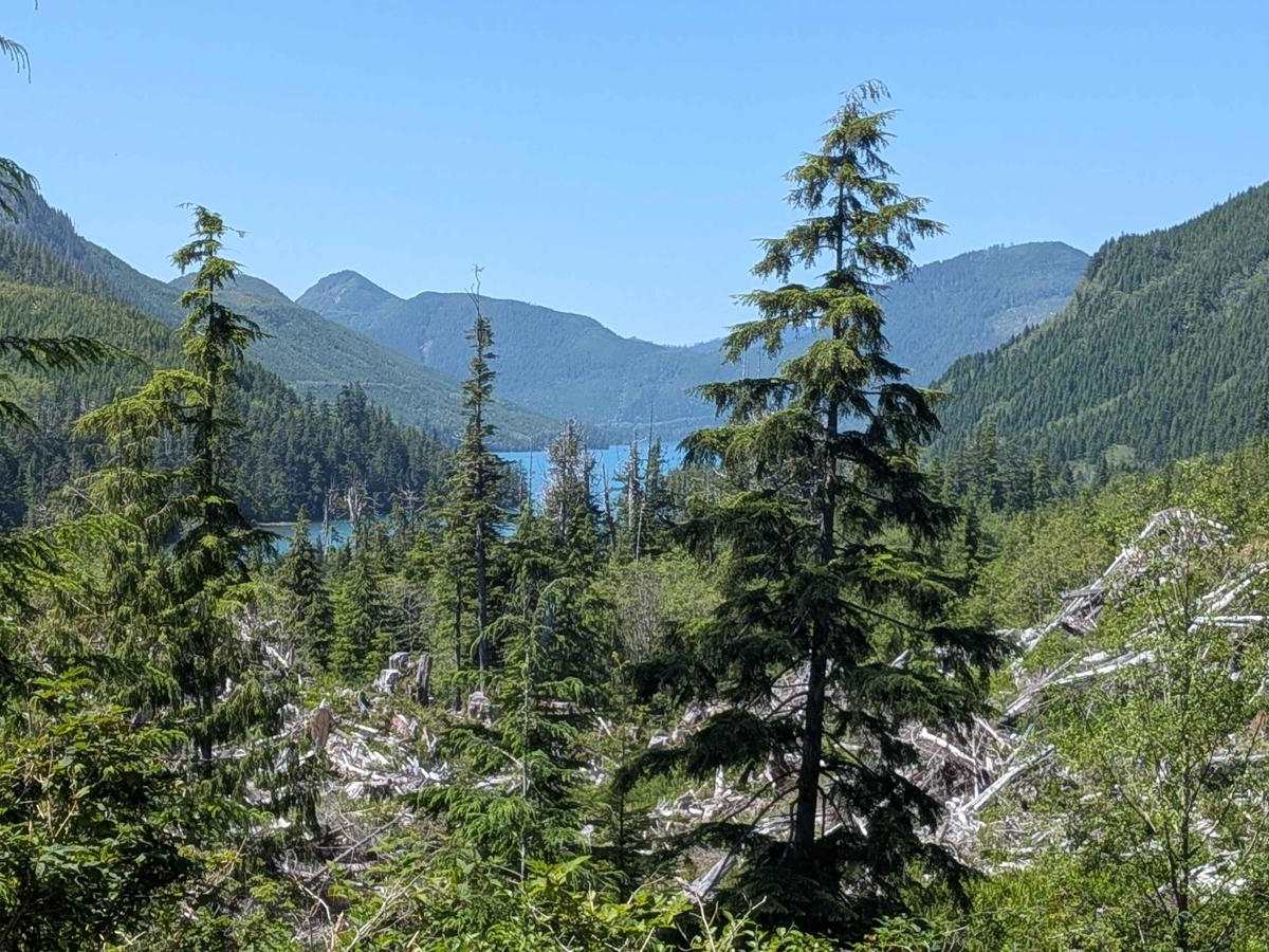 Klaskish Main  trail photo