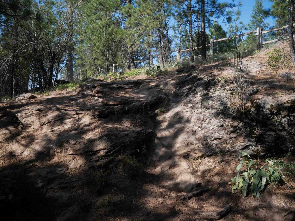 East Boundary (More Difficult) trail photo