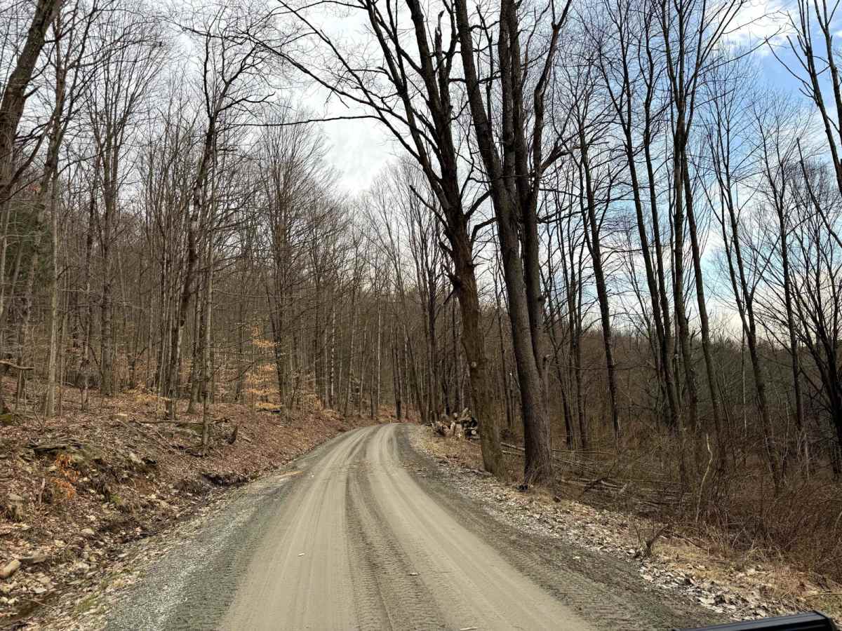 Kelly Road photo 2
