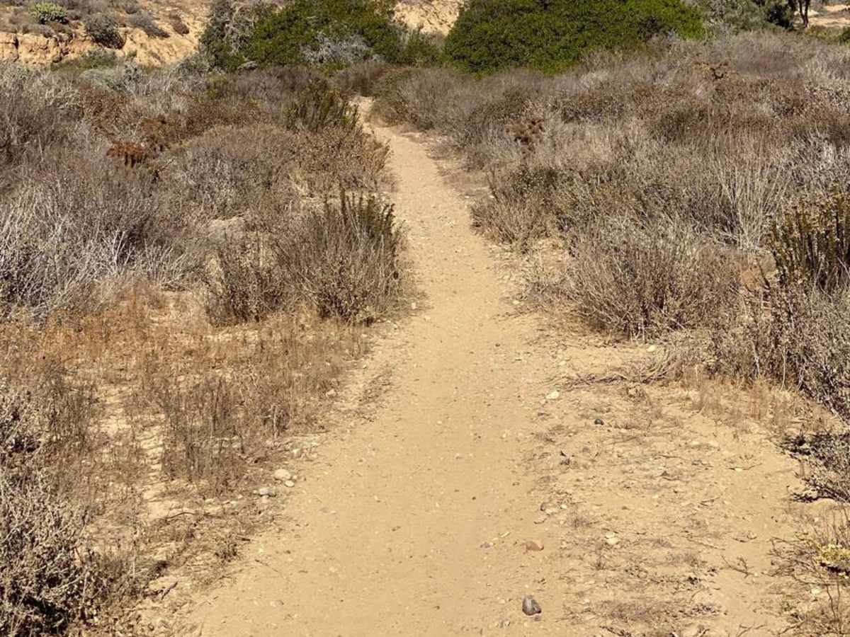 Mesa Redondo photo 3