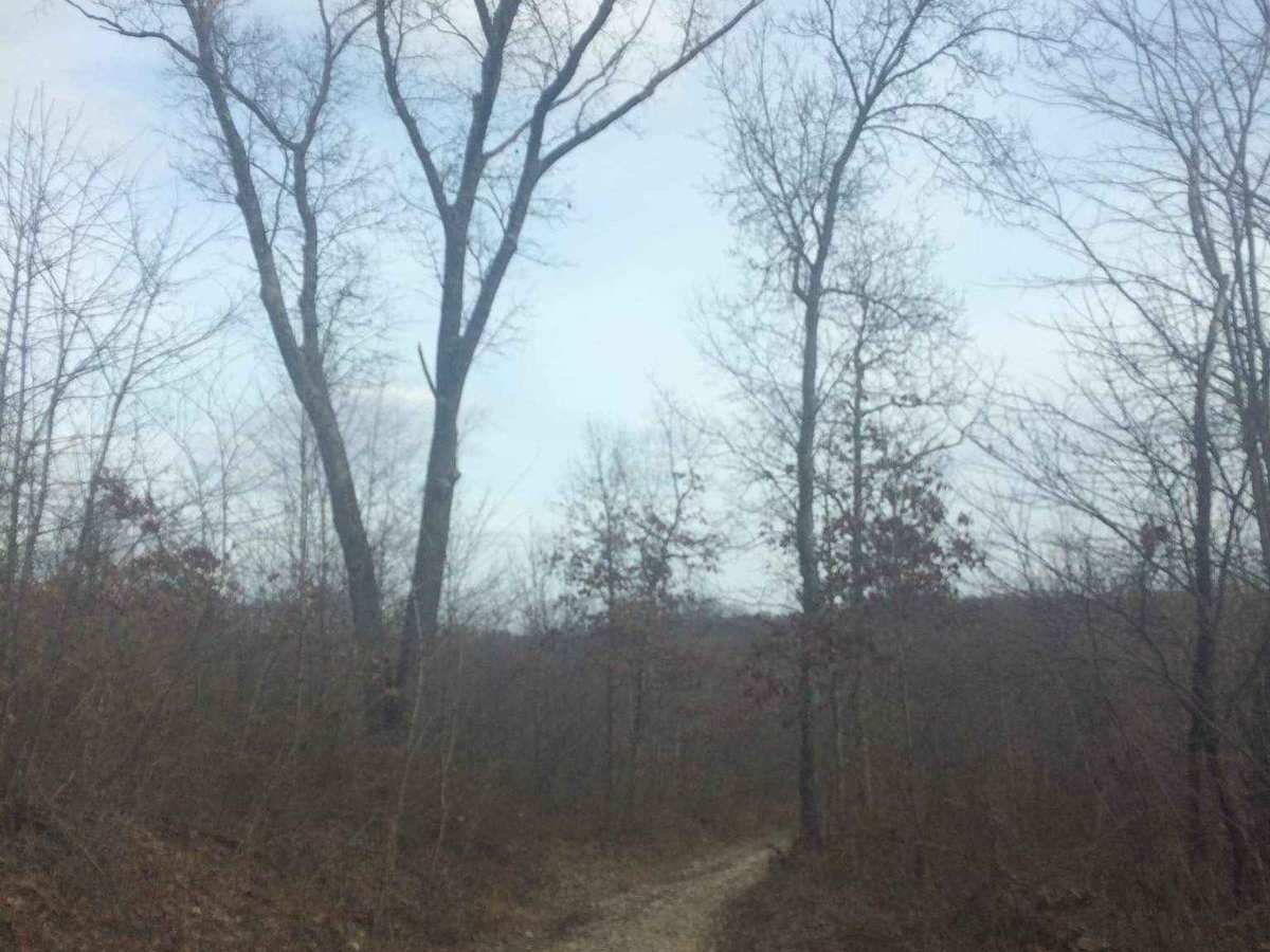 Lady Run Road photo 4