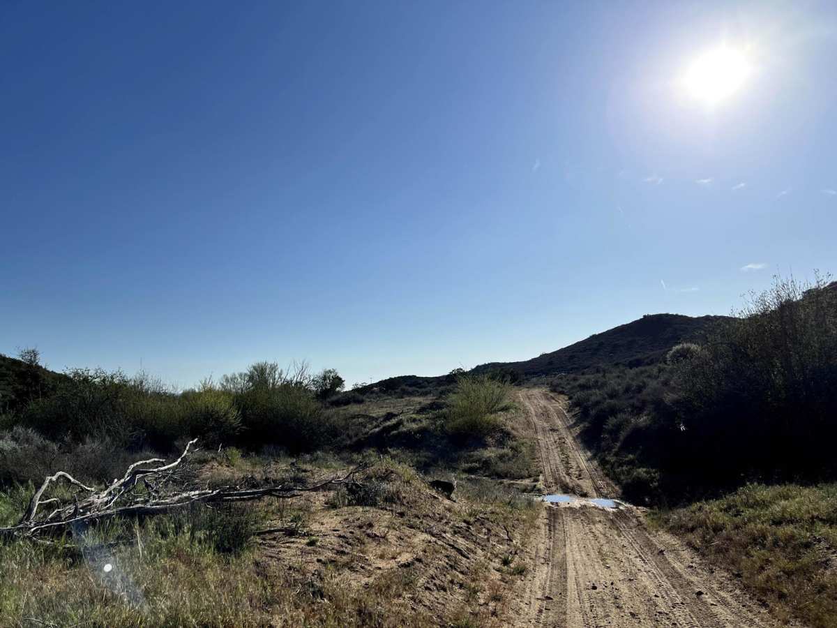Juan Diego Flat photo 2