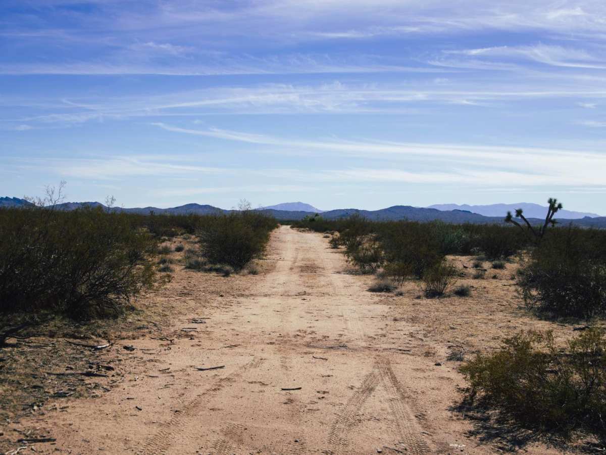 Alamo Springs trail photo