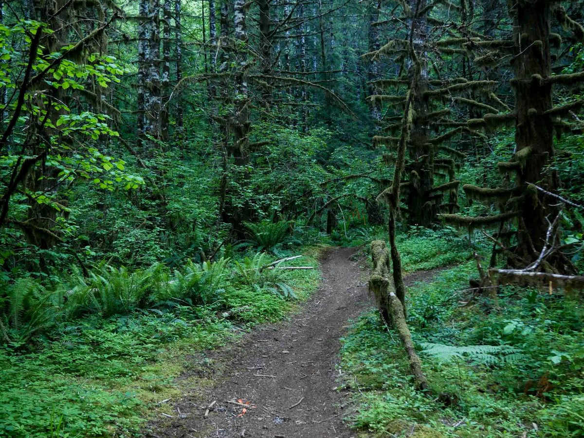#64 trail photo