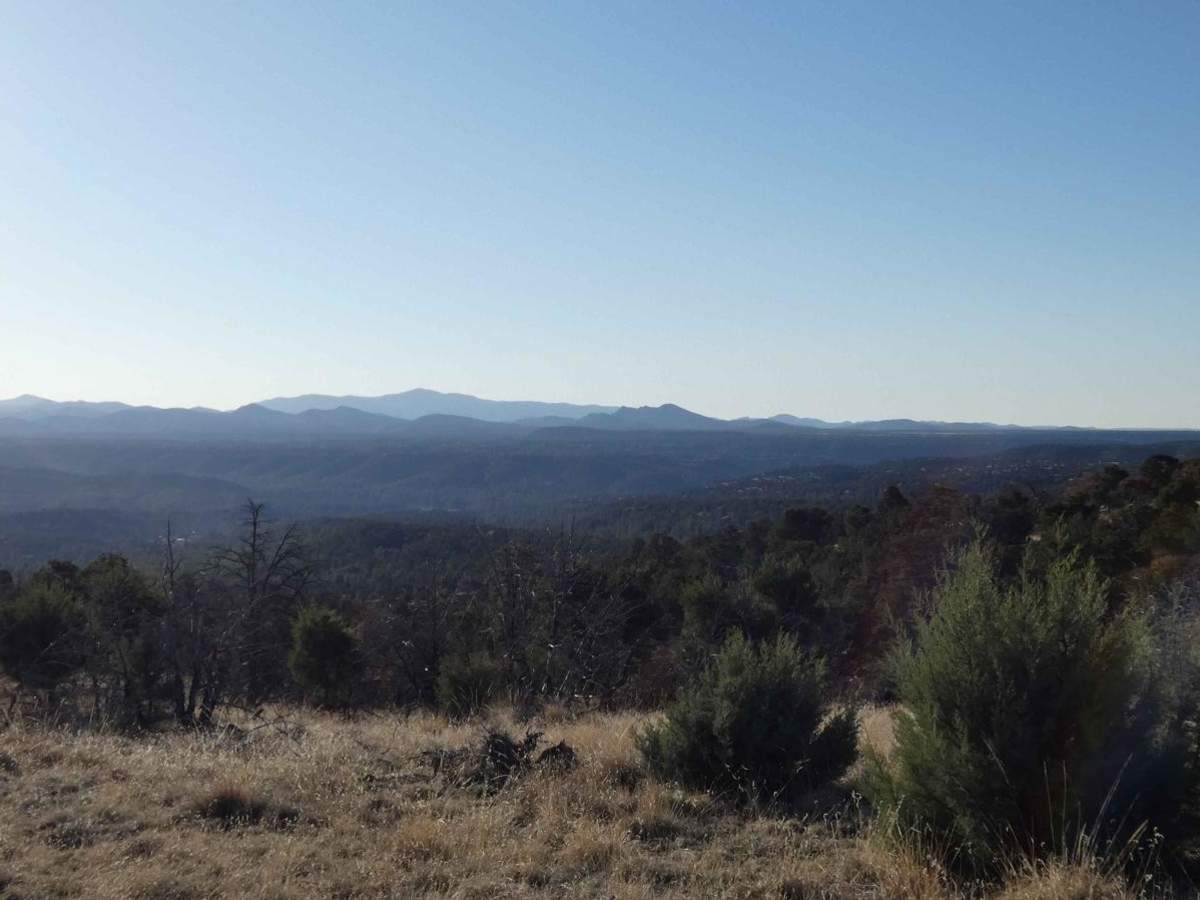 Elk Pasture trail photo