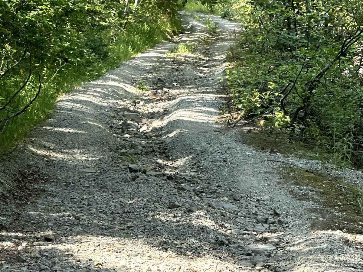Hood Berry Trail trail photo