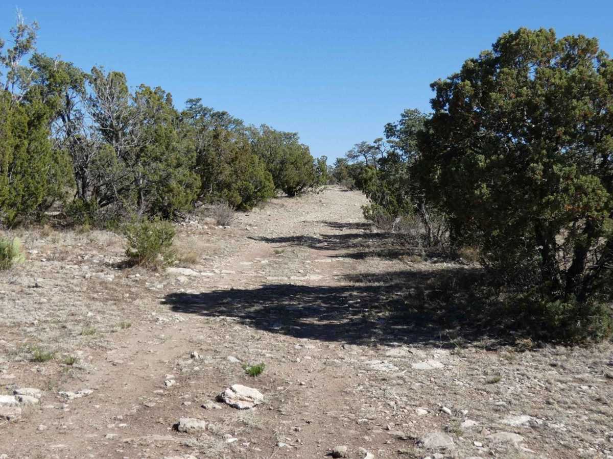 Corkscrew trail photo