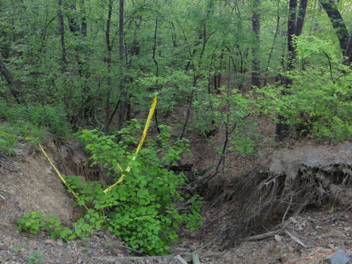 McMurtery Hollow photo 3