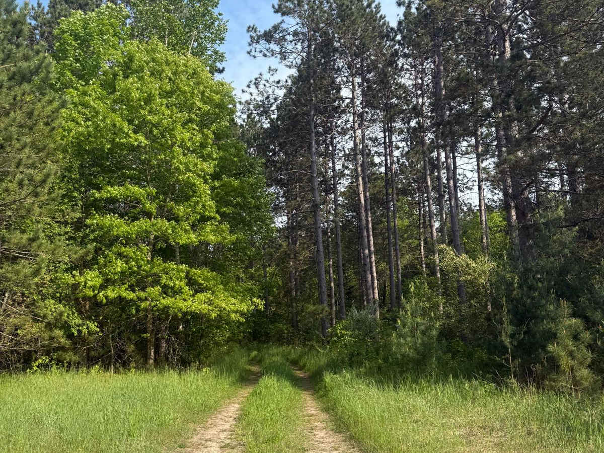 N-37 Trail photo 4