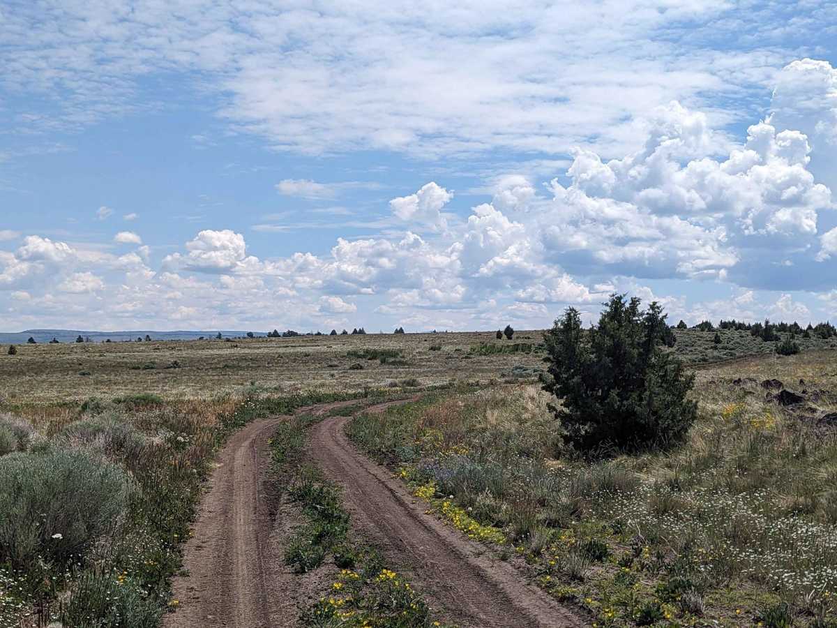 Moon Hill to Dust Bowl Road photo 2
