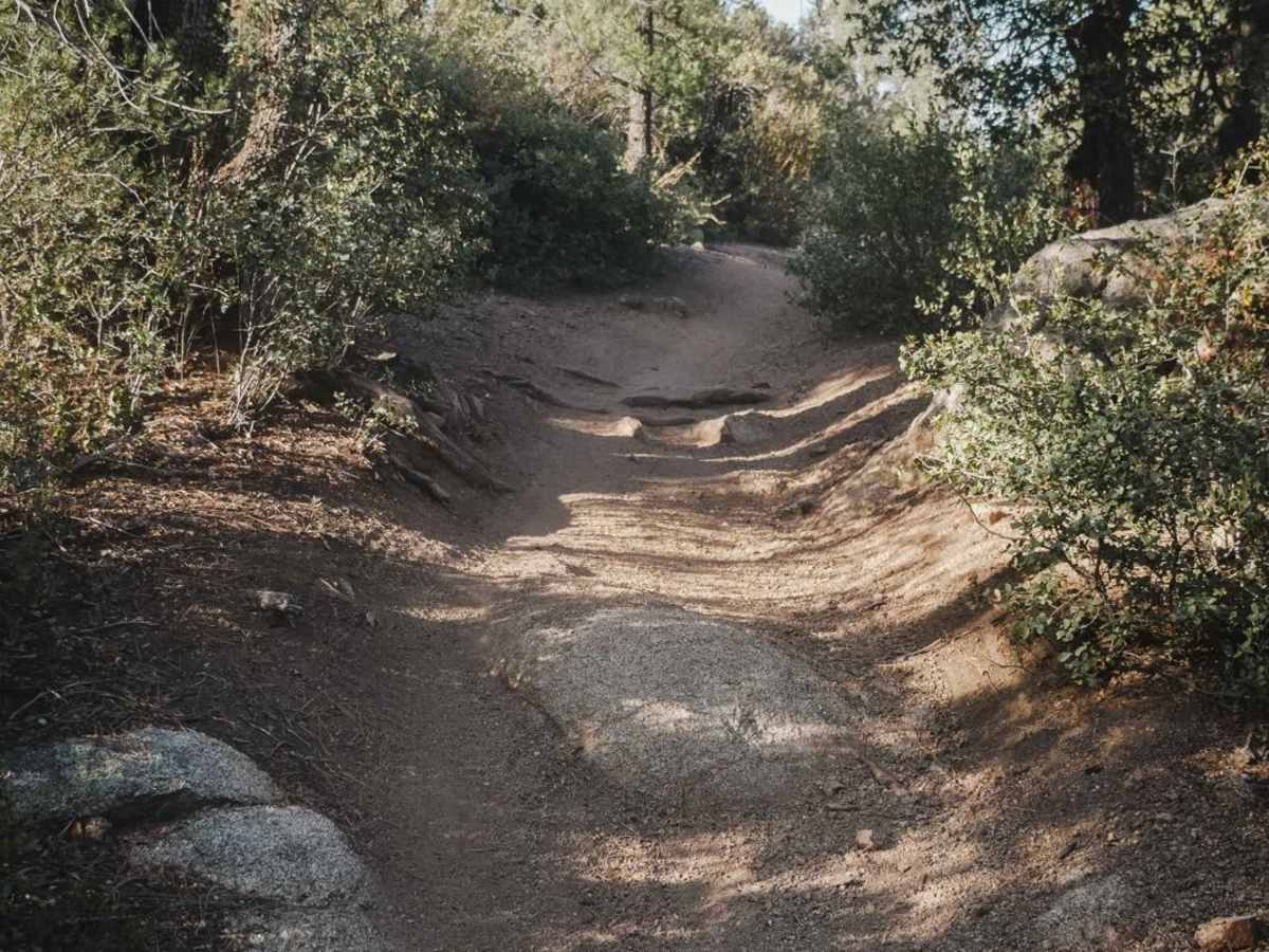 Trail 2 photo 3