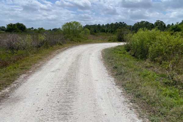Albritton Loop