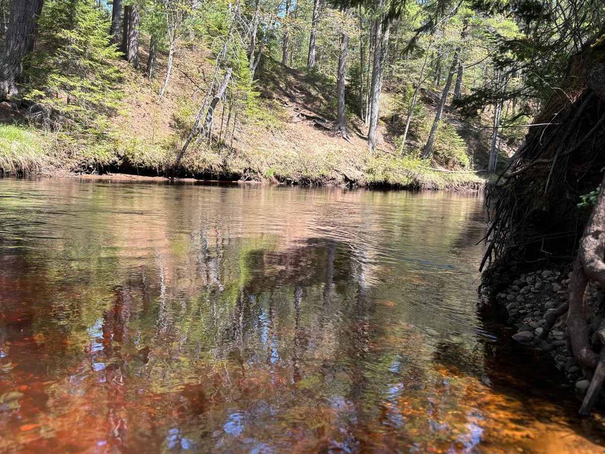 Grand Marais to CR 414 trail photo