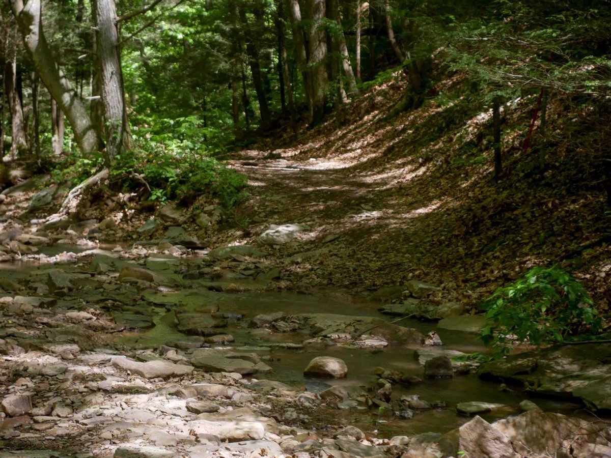 Trail 29 photo 6