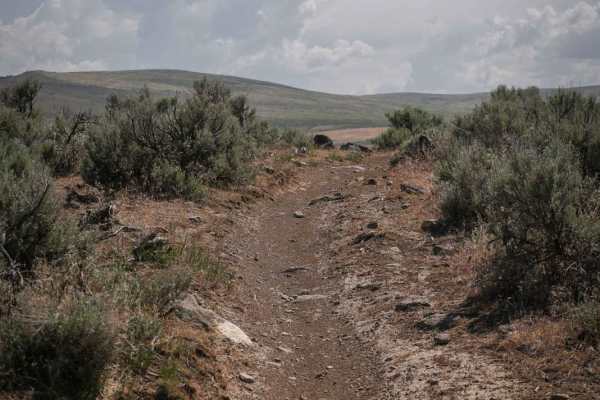 Lower Sugarloaf