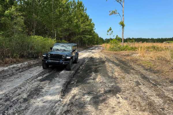 Fish Camp Road North