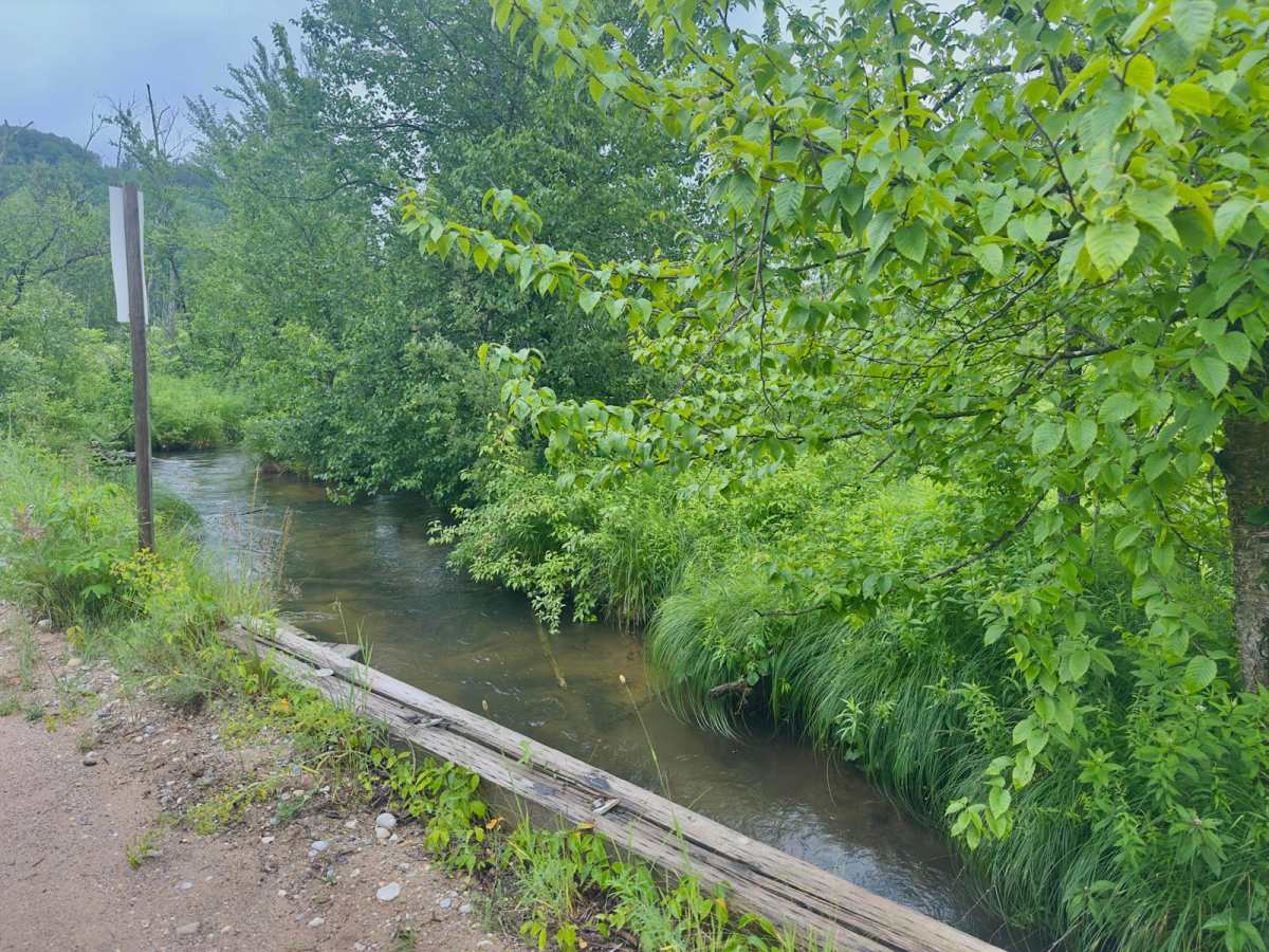 Pinney Bridge Road trail photo