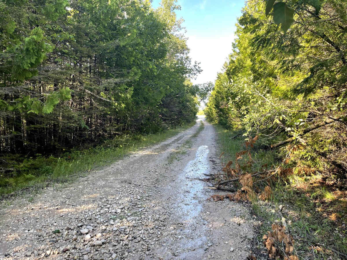 Gamble Lake Trail photo 4
