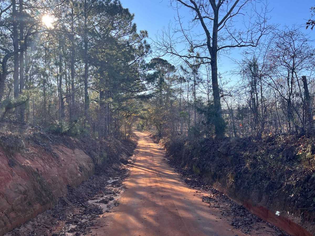 Mason Branch Road photo 4