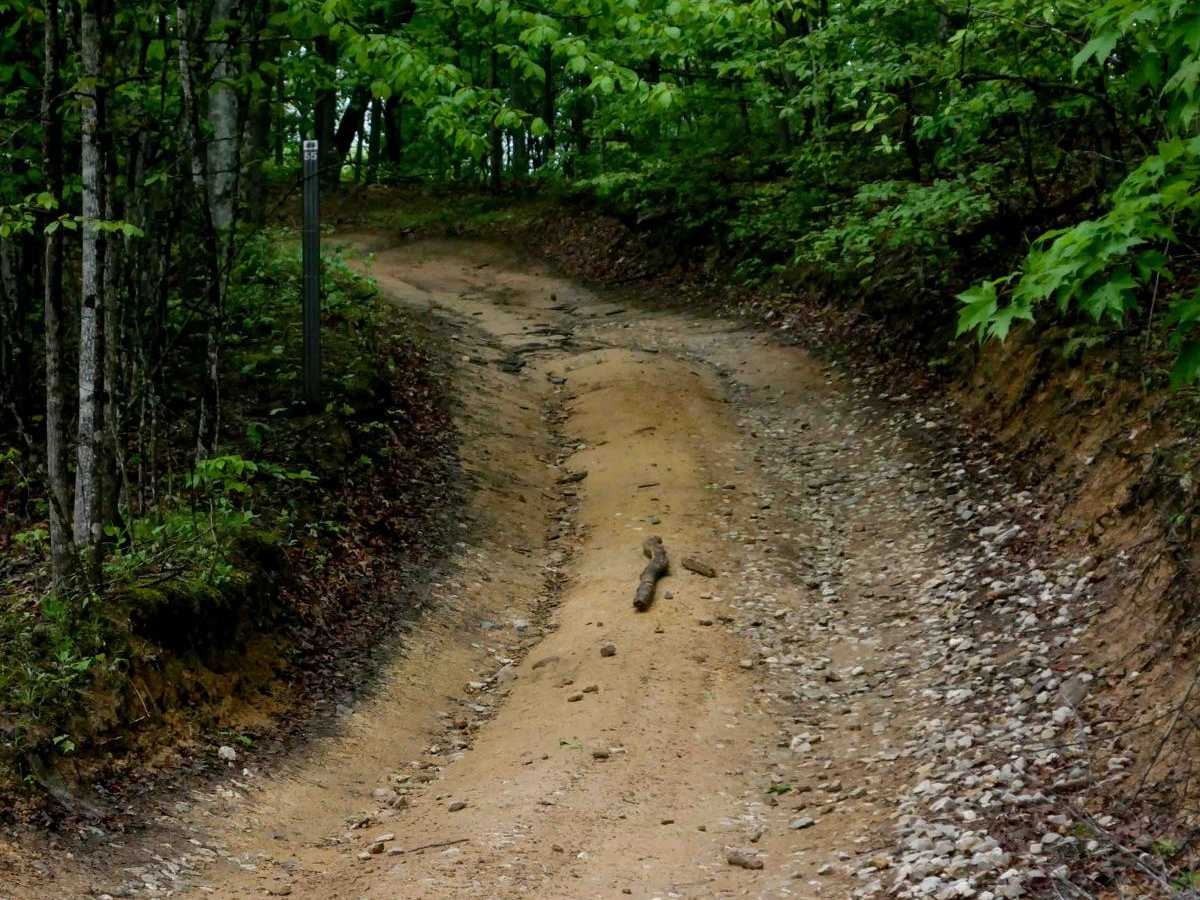 IB 55 trail photo