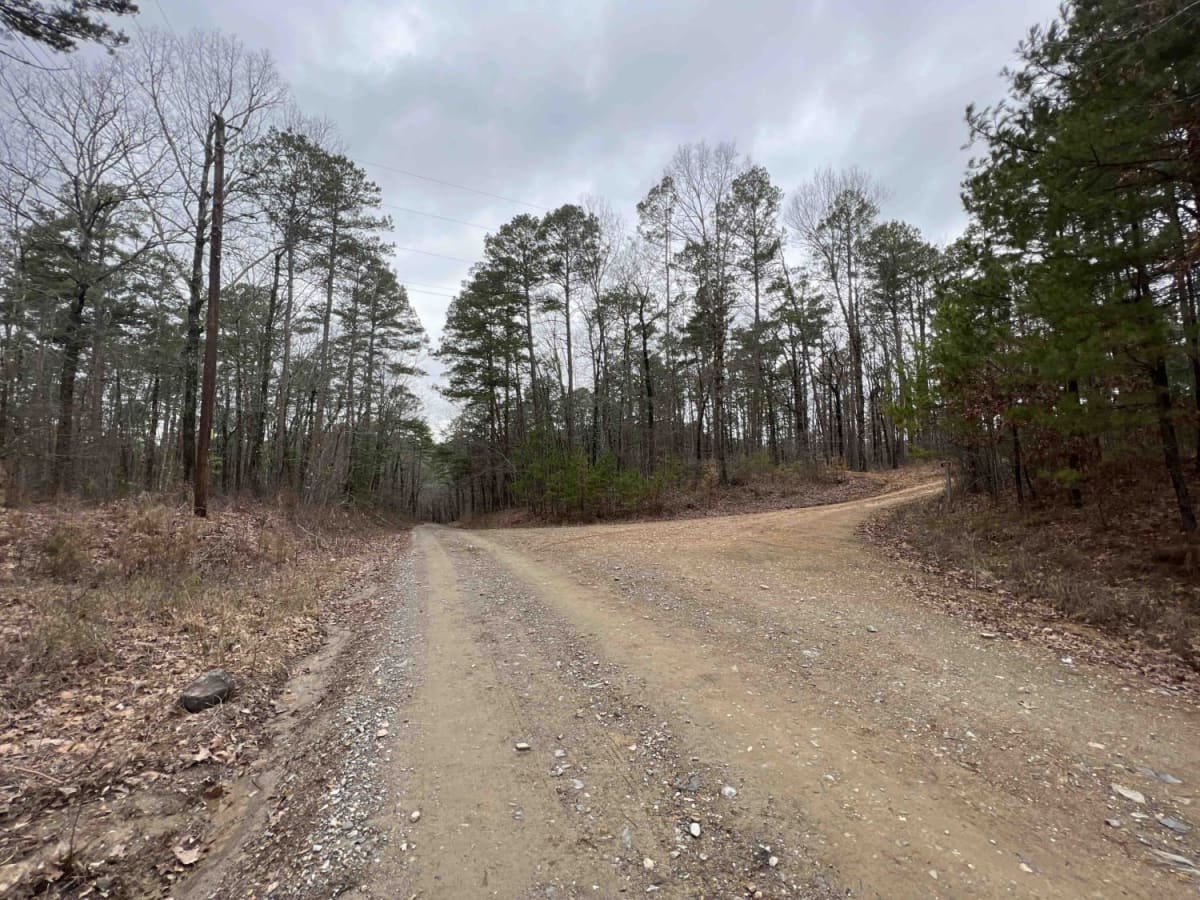 Alum Fork Road 114 trail photo