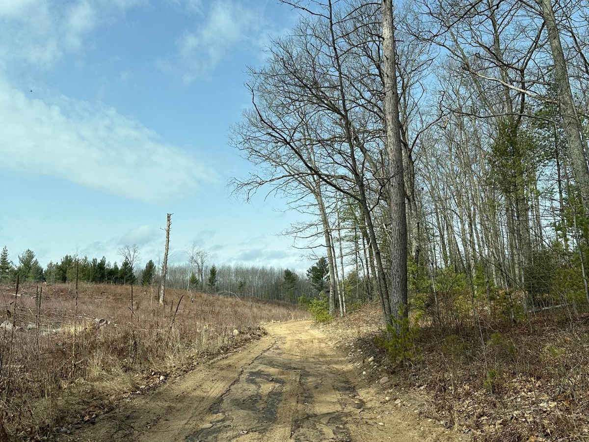 LP 494 photo 2