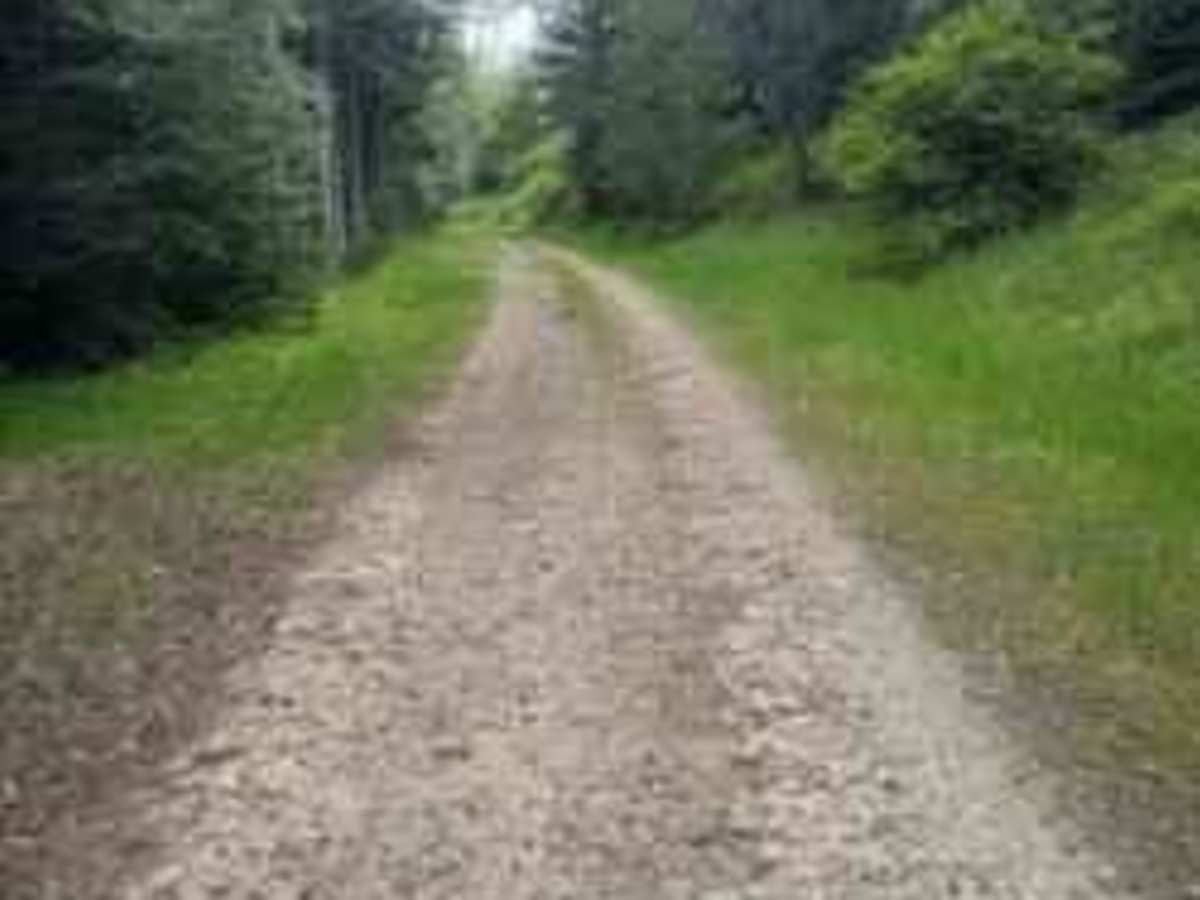 Akers-Excavation Trail 8240 trail photo