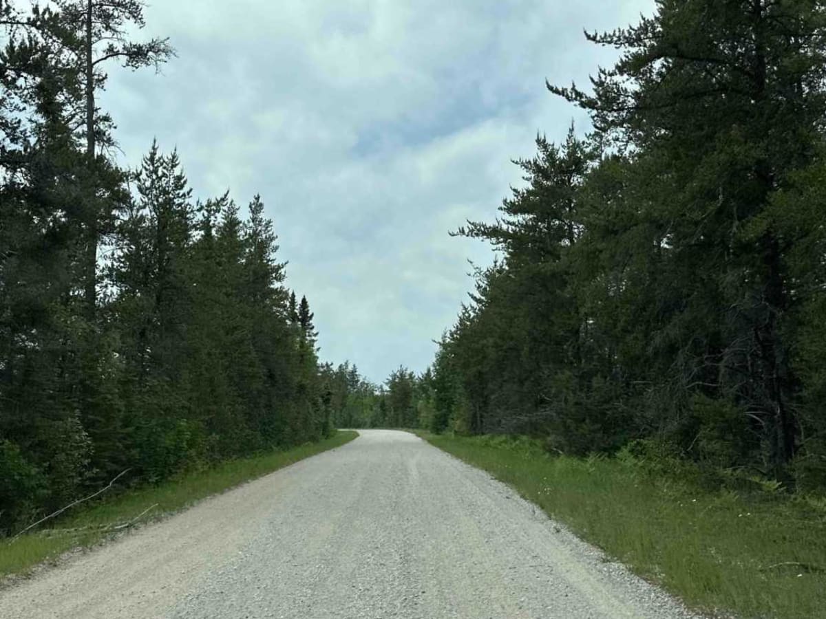 FS 3343 photo 6