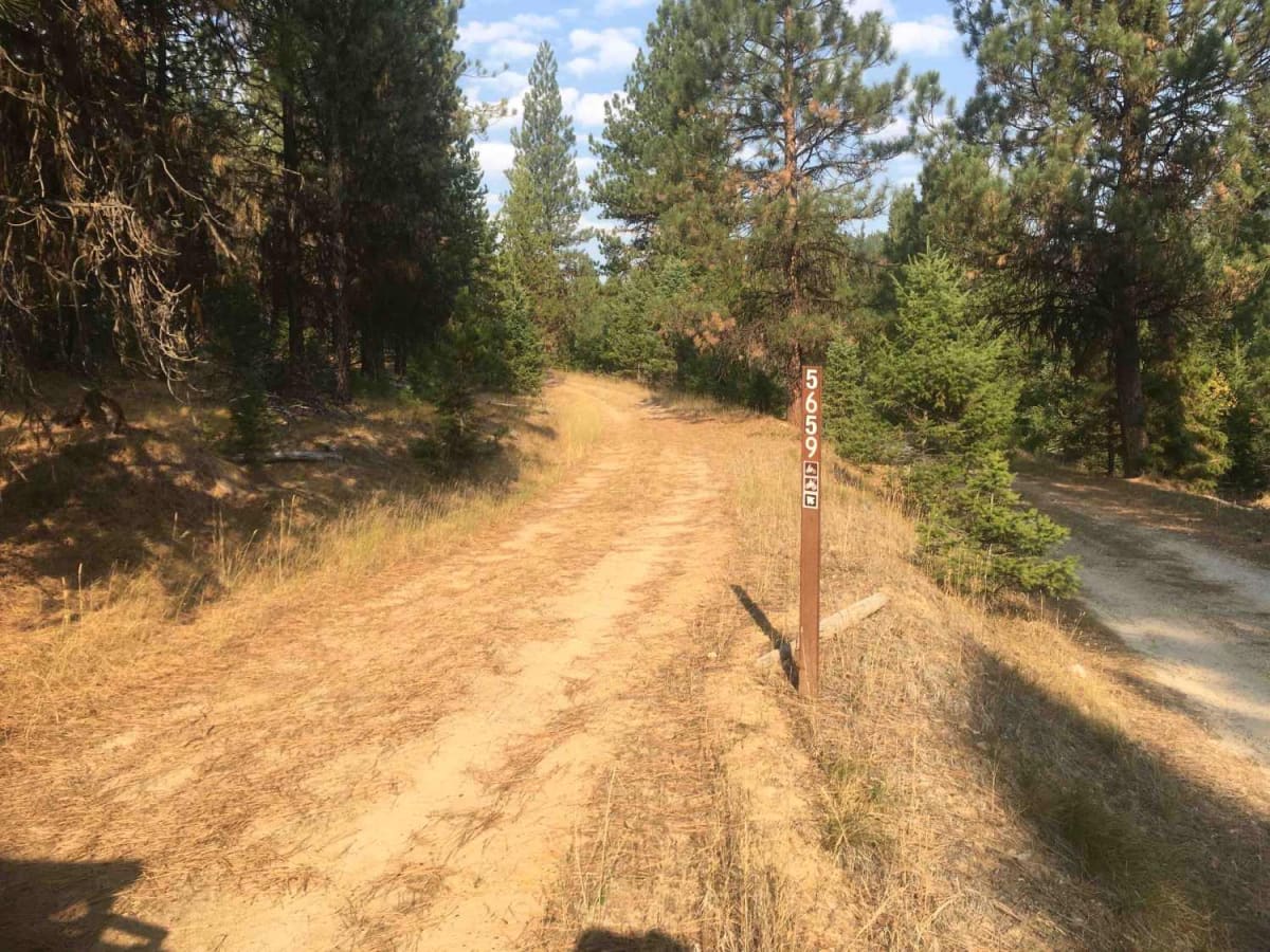 Coal Creek OHV trail photo