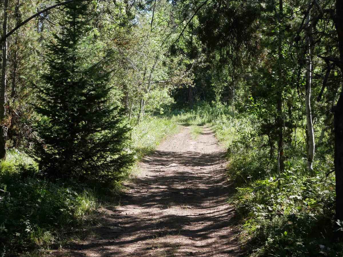 Horseshoe to Harrington #5212  photo 4