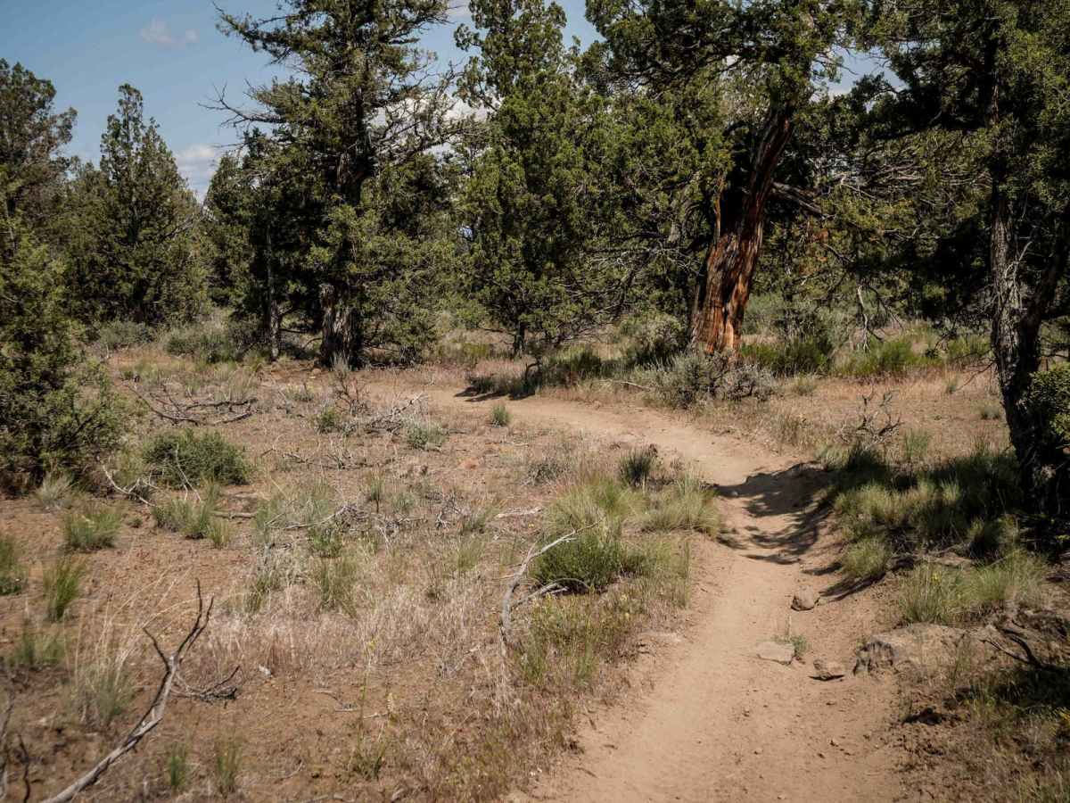 72 trail photo