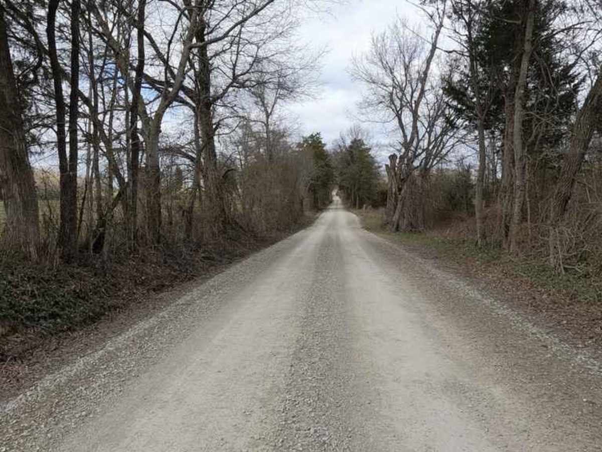 Castor River Shut-Ins Road photo 2
