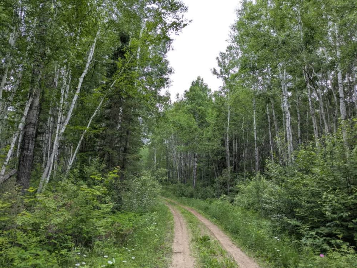 2663 trail photo
